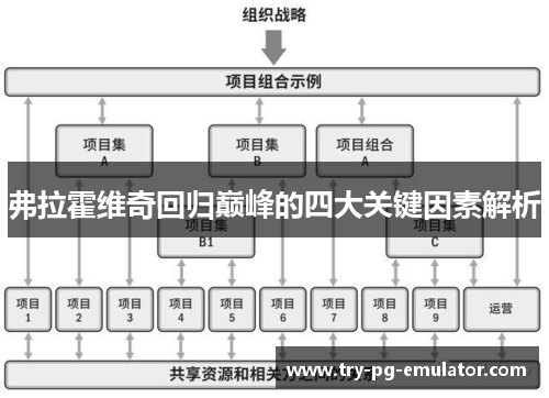 弗拉霍维奇回归巅峰的四大关键因素解析
